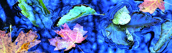 Fall Reflections in Oak Creek Canyon