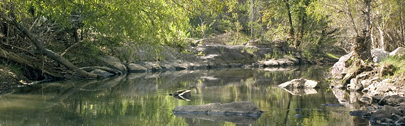 Sonoita Creek