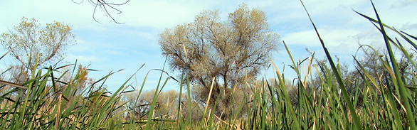 Yaqui River Drainage