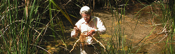 Arizona Heritage Water Site