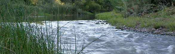 Arizona Heritage Water Site