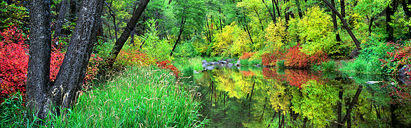 Oak Creek Canyon